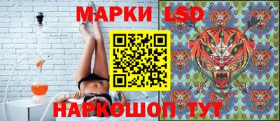 эйфоретик Можга