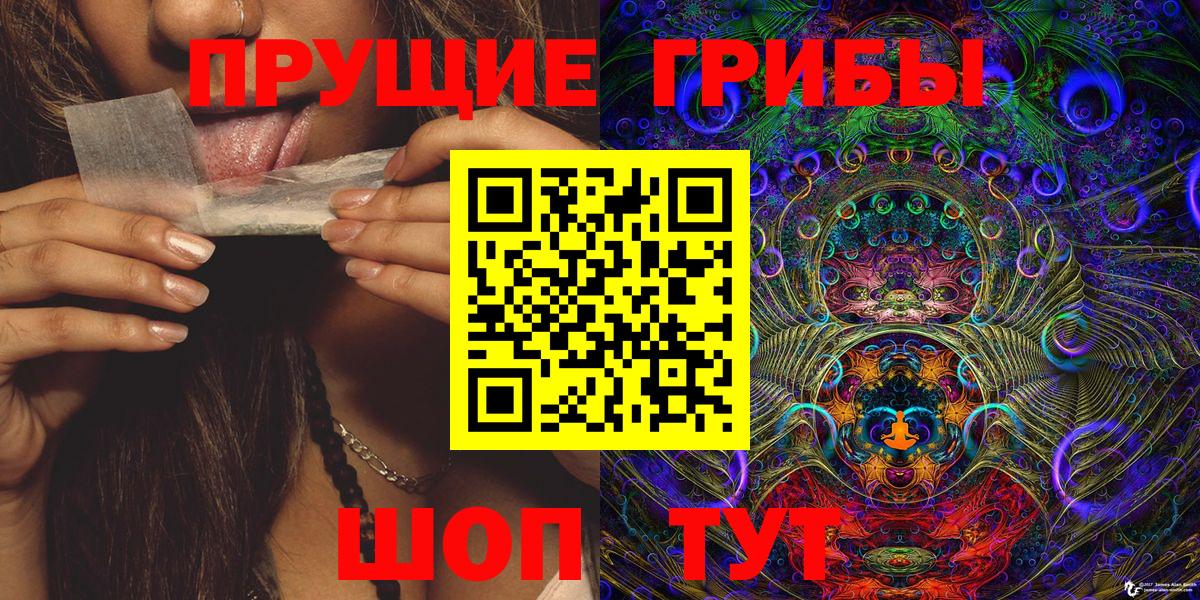 Псилоцибиновые грибы GOLDEN TEACHER  Вход с VPN  Черногорск  Галлюциногенные грибы Magic Shrooms 